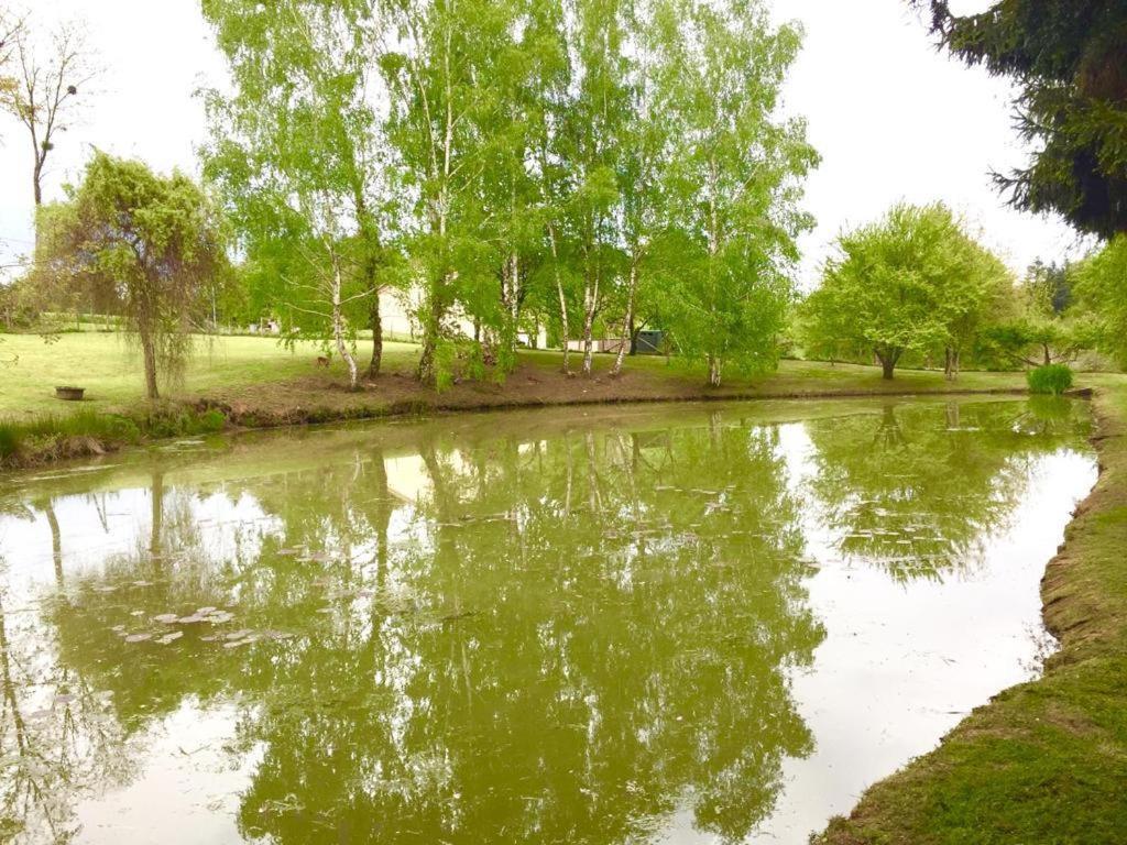 La Maison D'Hera Saint Yrieix la Perche Bagian luar foto